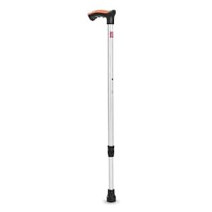 Flamingo Walking Stick