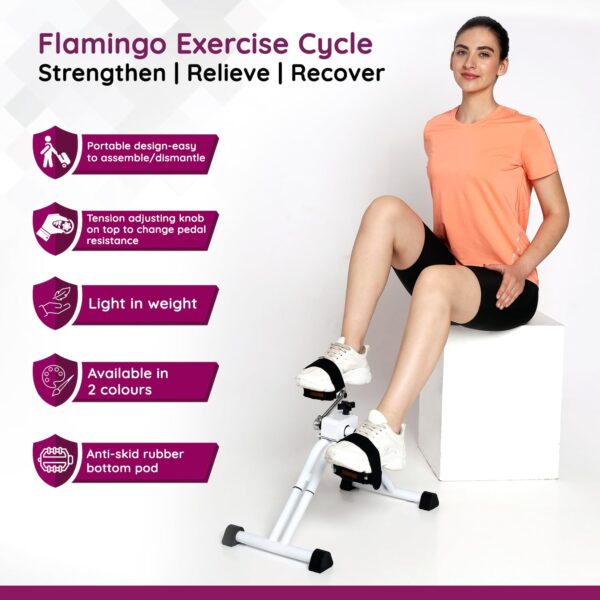 Flamingo Exercise Cycle - Image 3